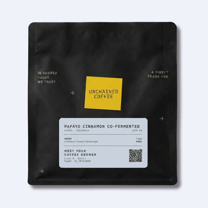 PAPAYO CINNAMON CO-FERMENTED PROCESS