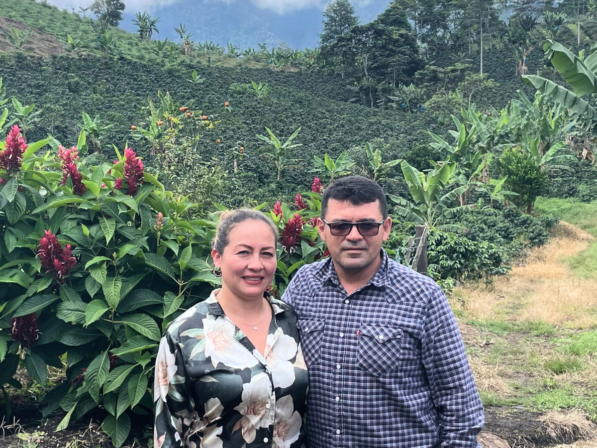 Los Pinos